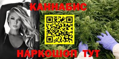 гидра Дубна