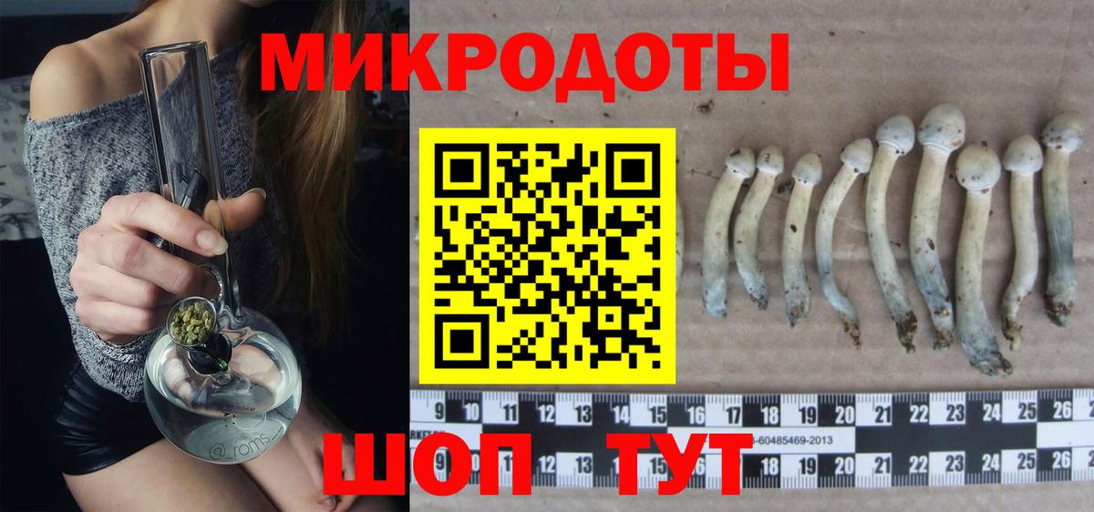 Галлюциногенные грибы мицелий Переславль-Залесский
