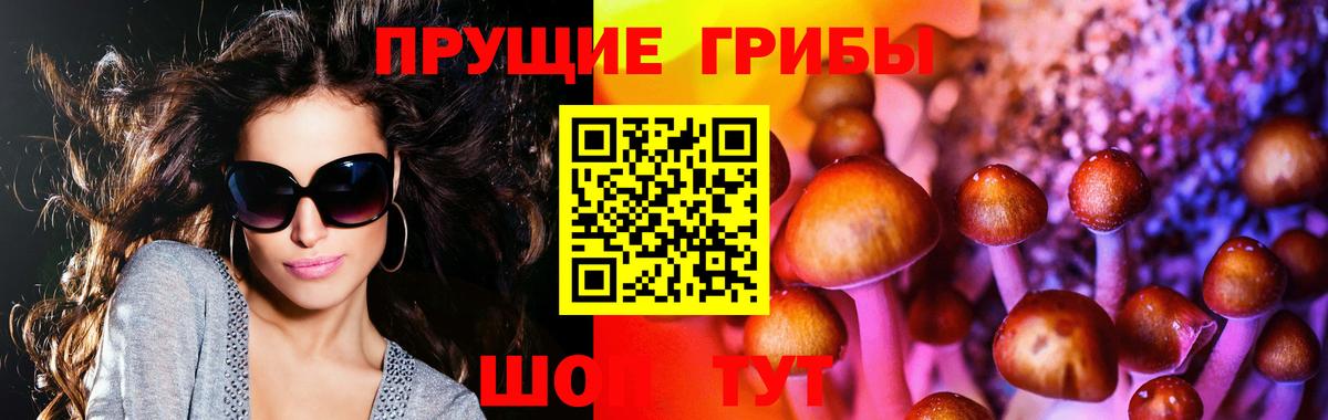 Псилоцибиновые грибы MAGIC MUSHROOMS  где можно купить   Вход с VPN  Переславль-Залесский  Галлюциногенные грибы Cubensis 